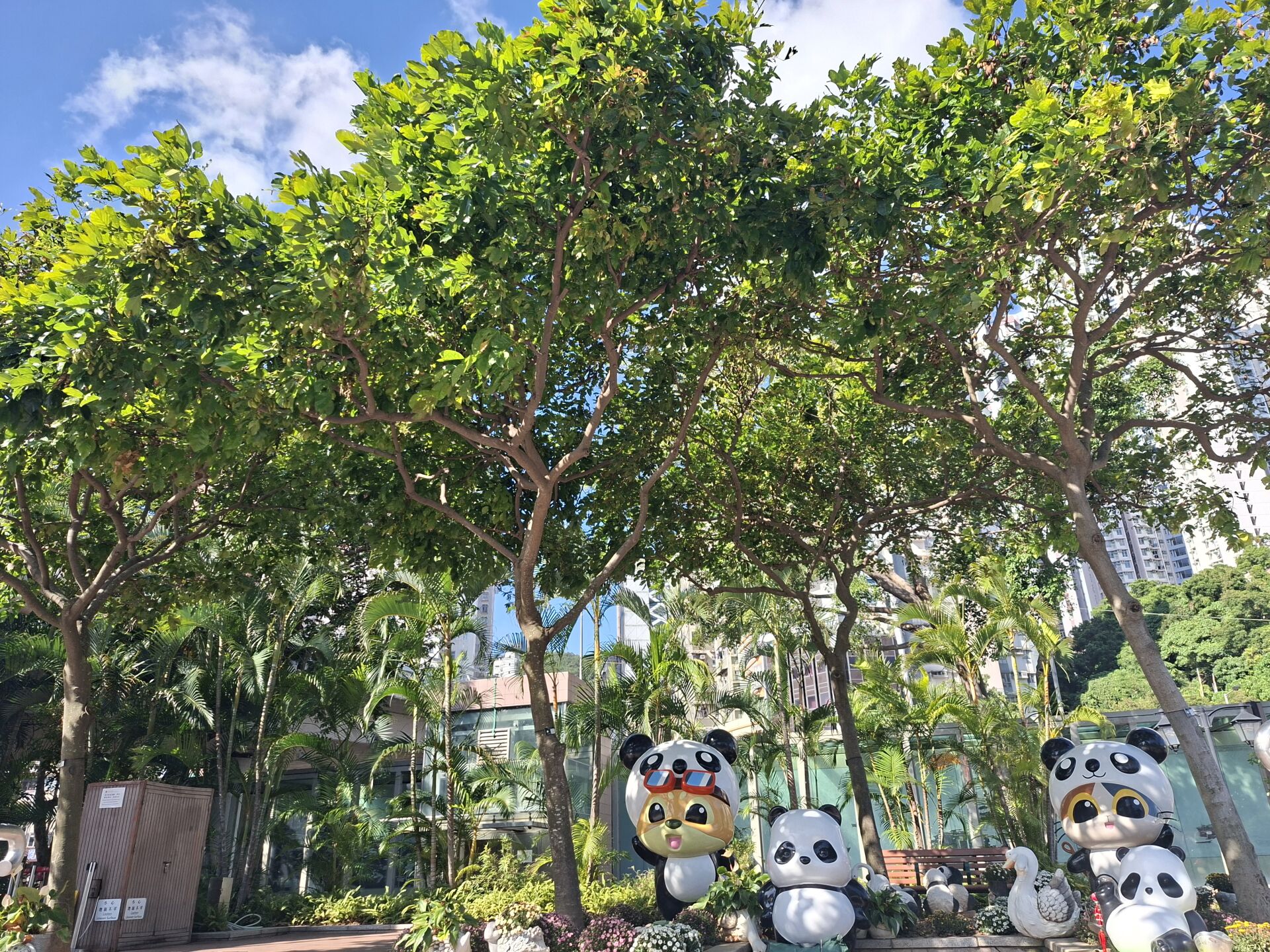 https://www.fa.gov.hk/水黃皮