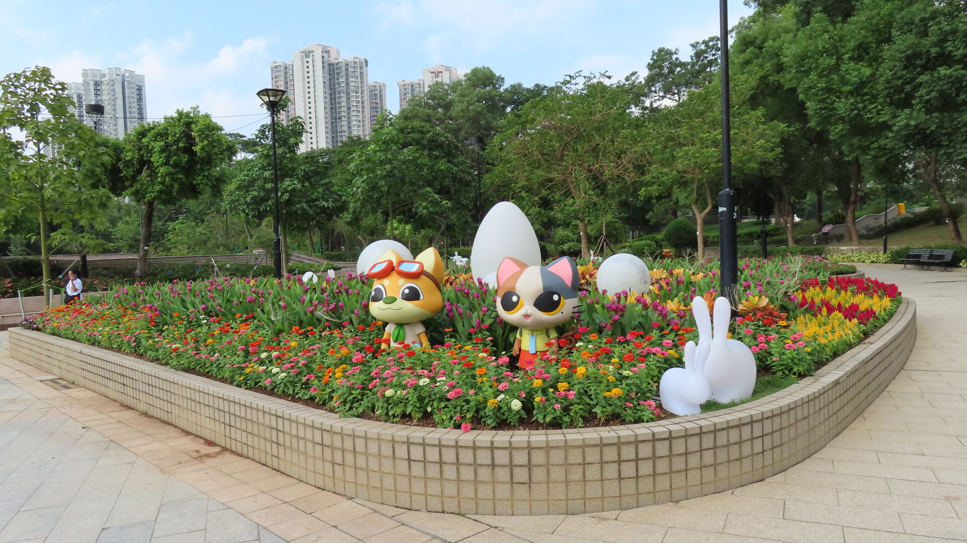 https://www.fa.gov.hk/魚尾菊