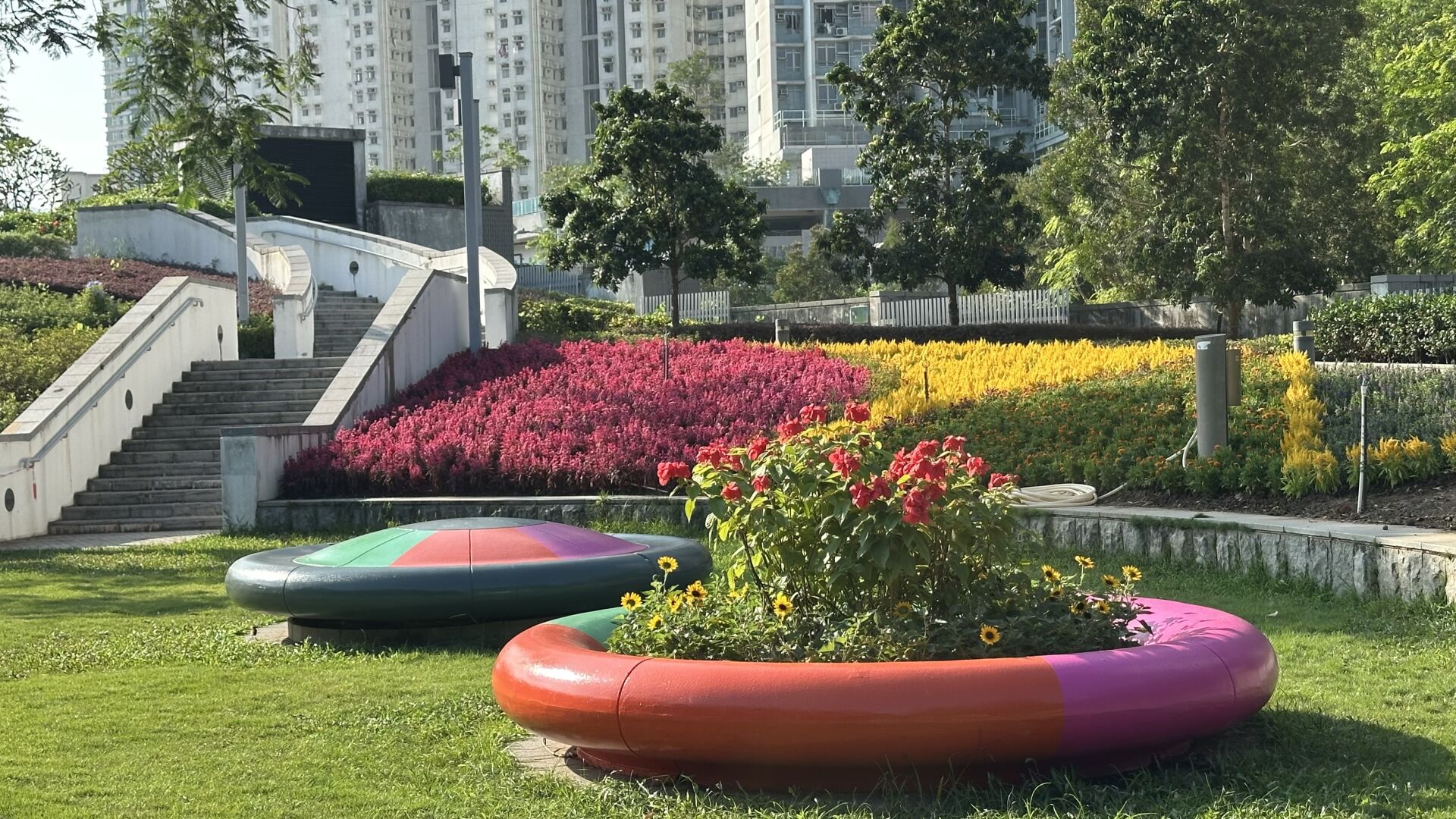 https://www.fa.gov.hk/向日葵(太陽花)