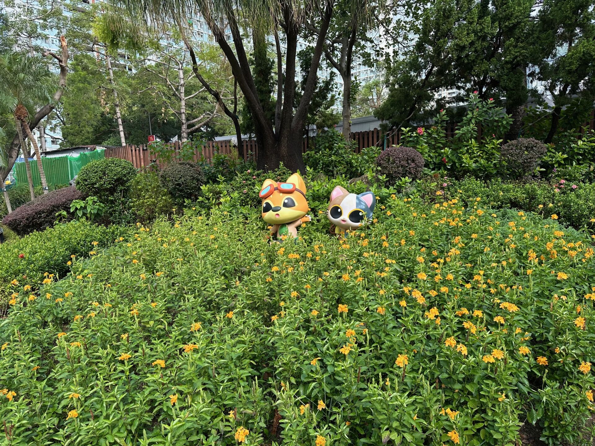 https://www.fa.gov.hk/鳥尾花