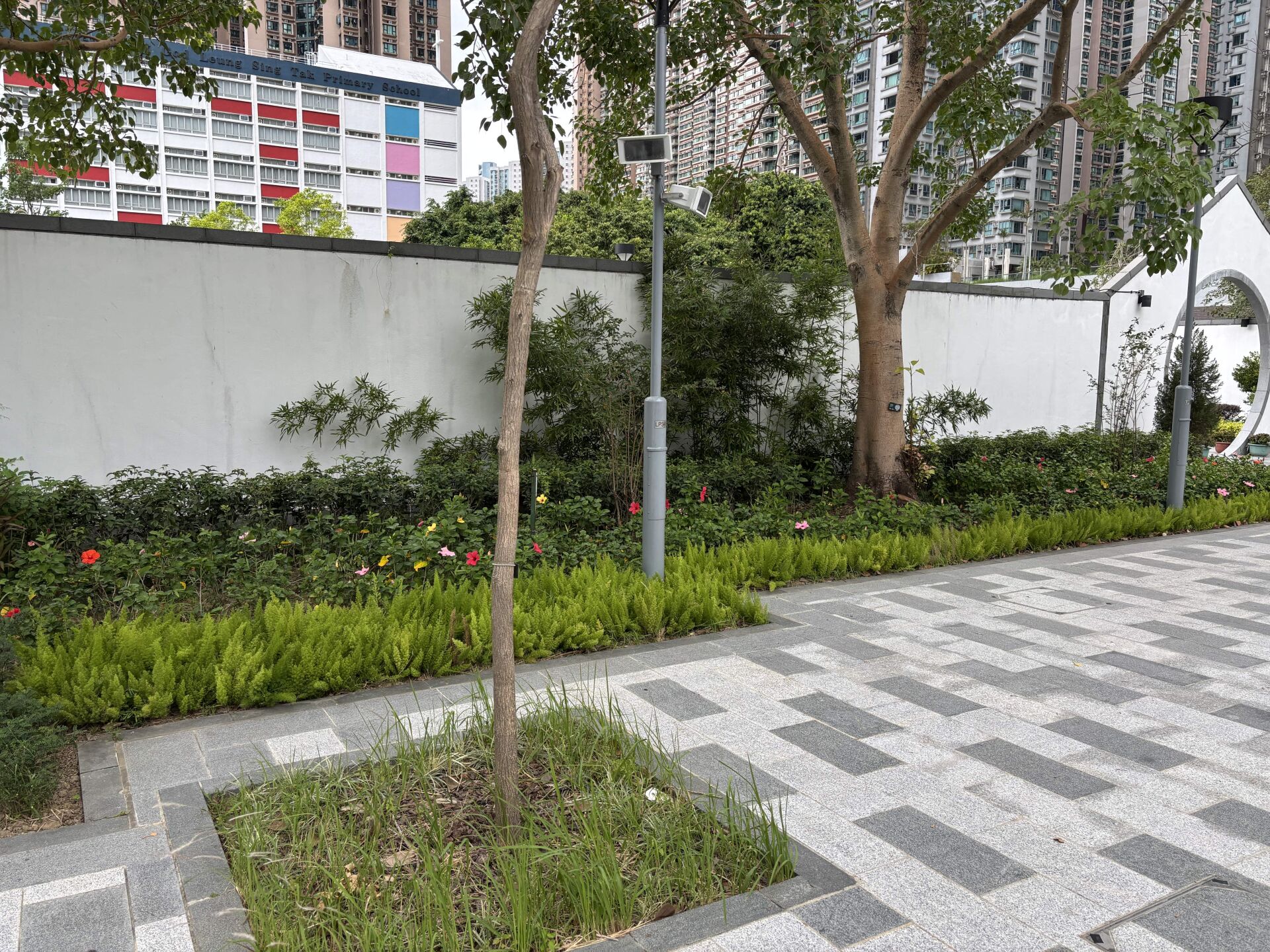 https://www.fa.gov.hk/朱槿(扶桑、大紅花)	