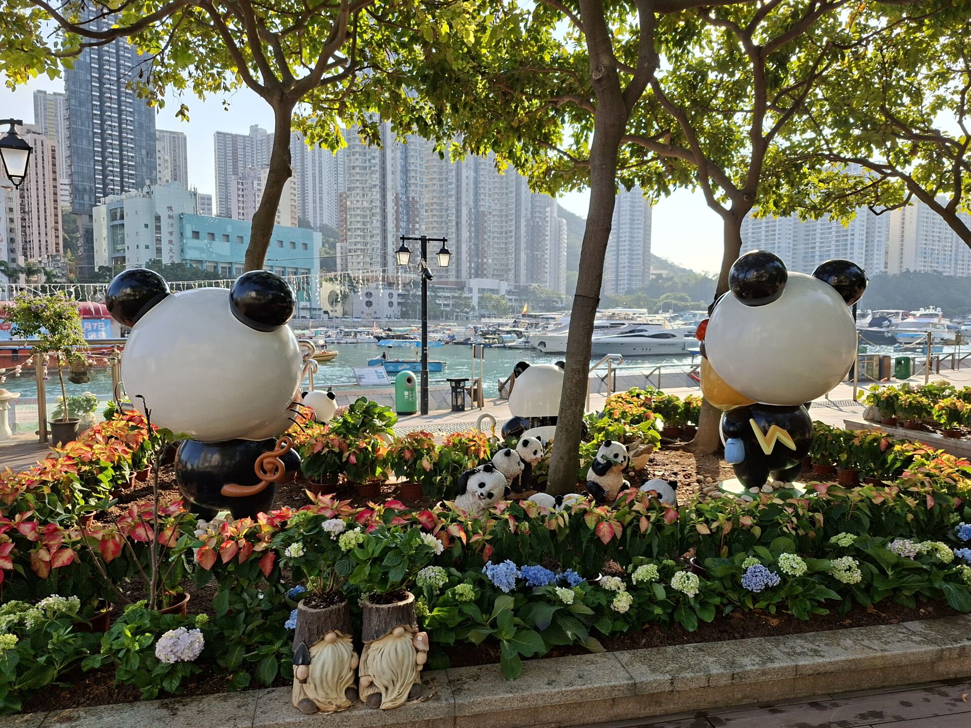 https://www.fa.gov.hk/繡球花
