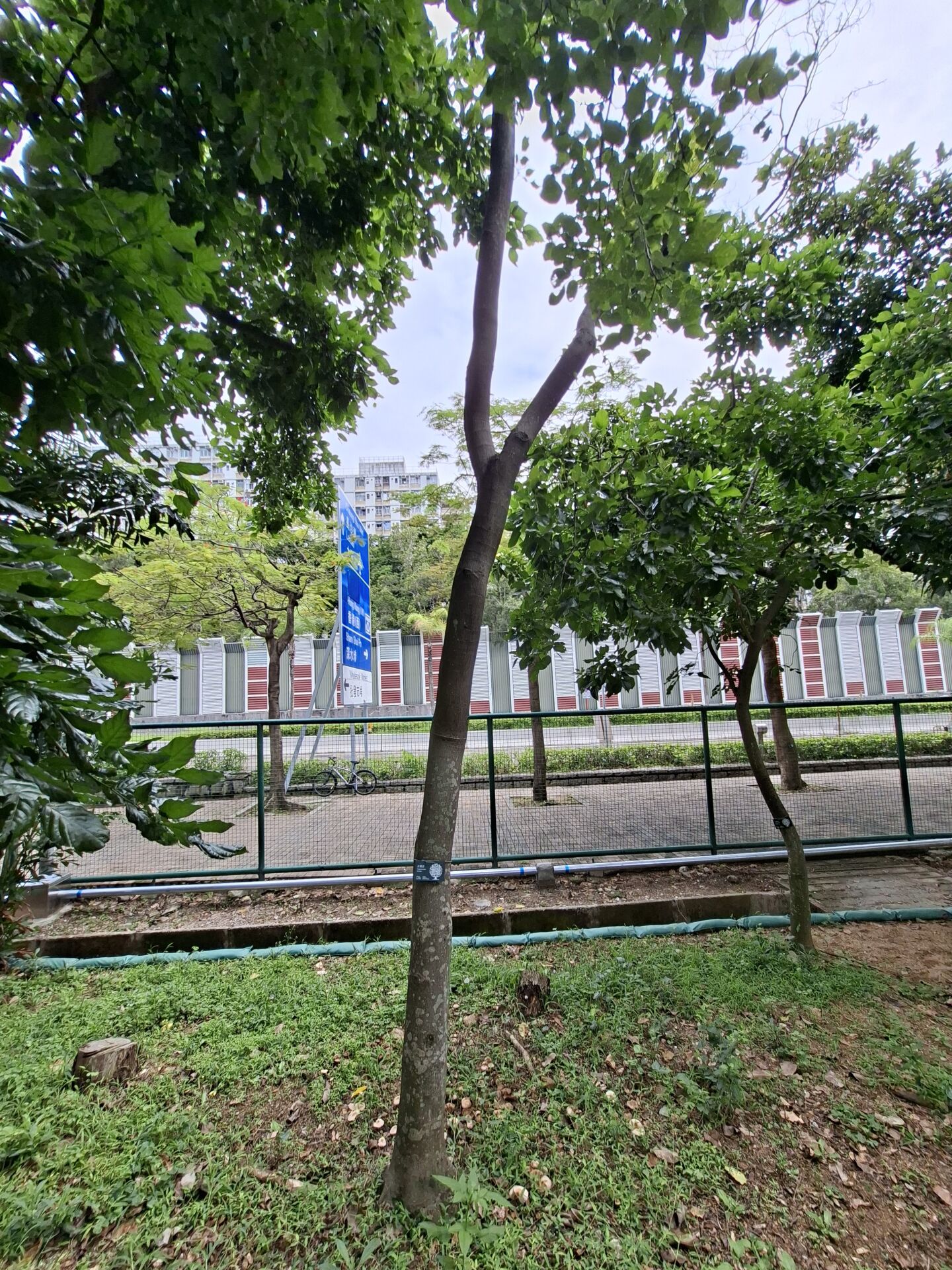 https://www.fa.gov.hk/水黃皮
