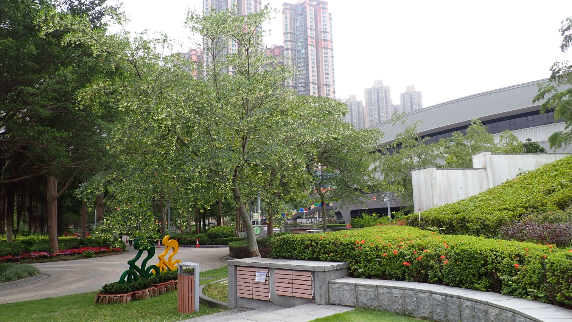 https://www.fa.gov.hk/水石榕