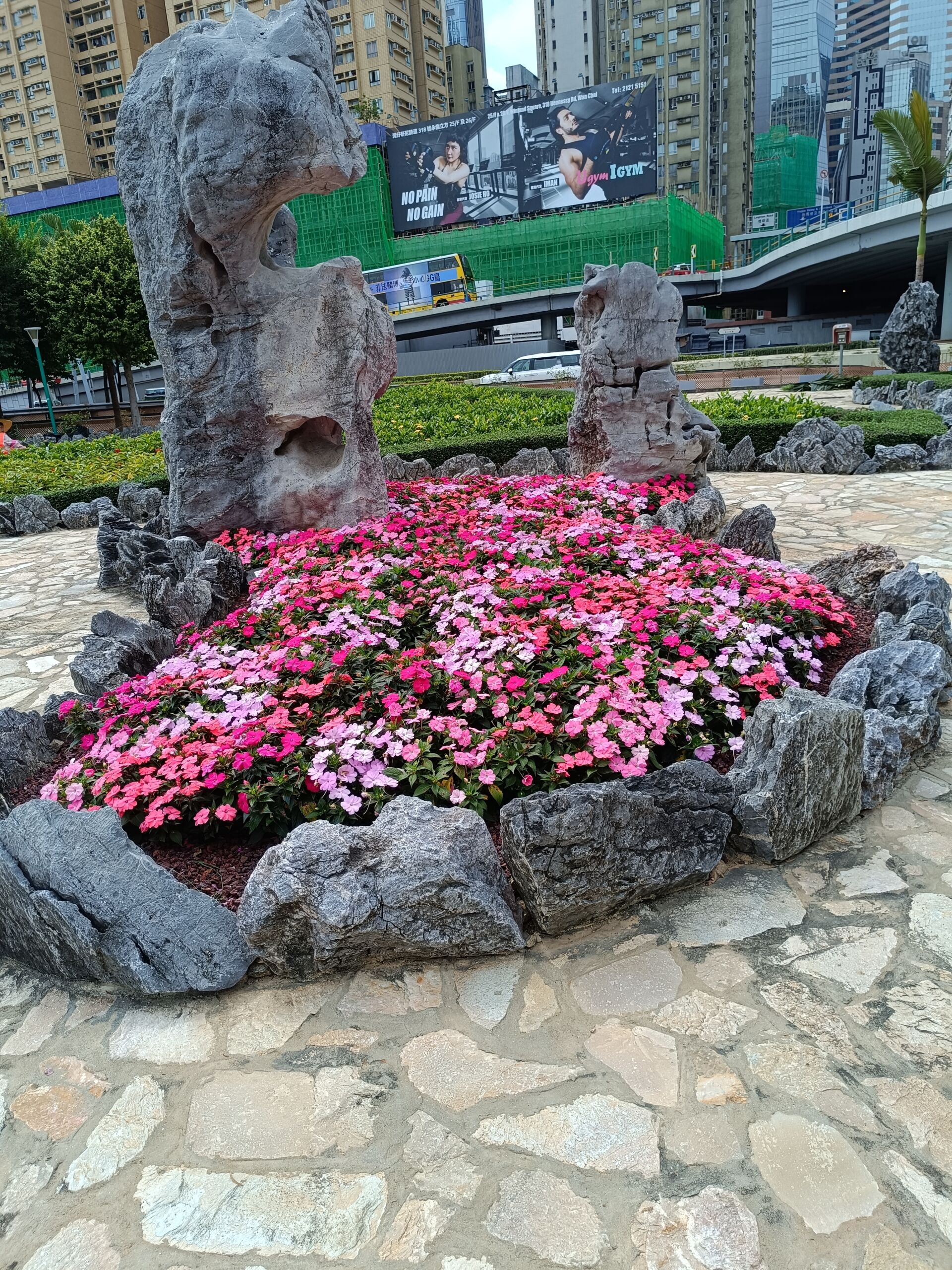 https://www.fa.gov.hk/鳳仙花