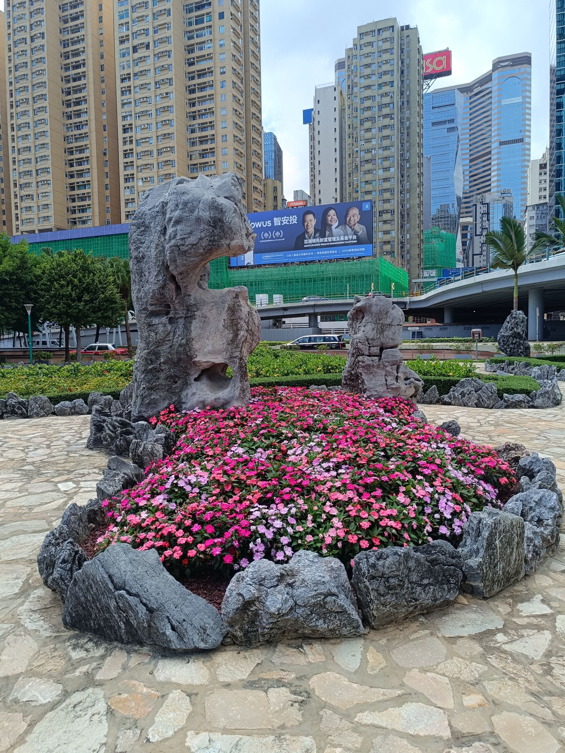 https://www.fa.gov.hk/鳳仙花