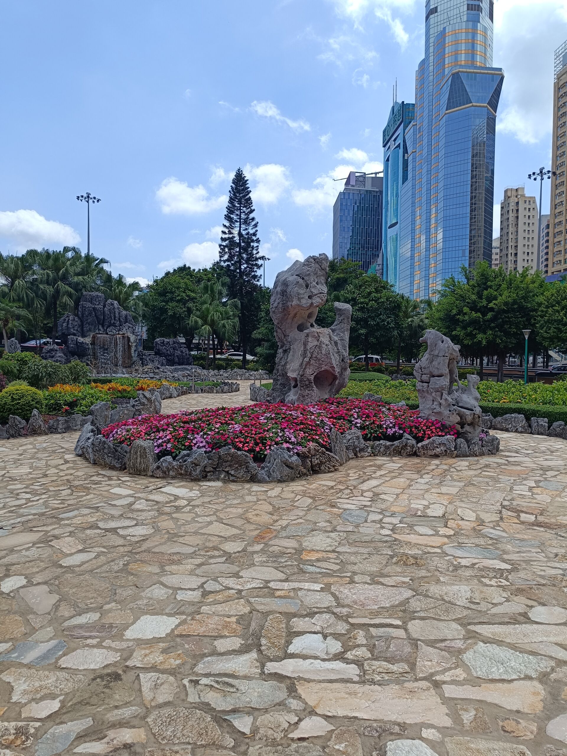 https://www.fa.gov.hk/鳳仙花