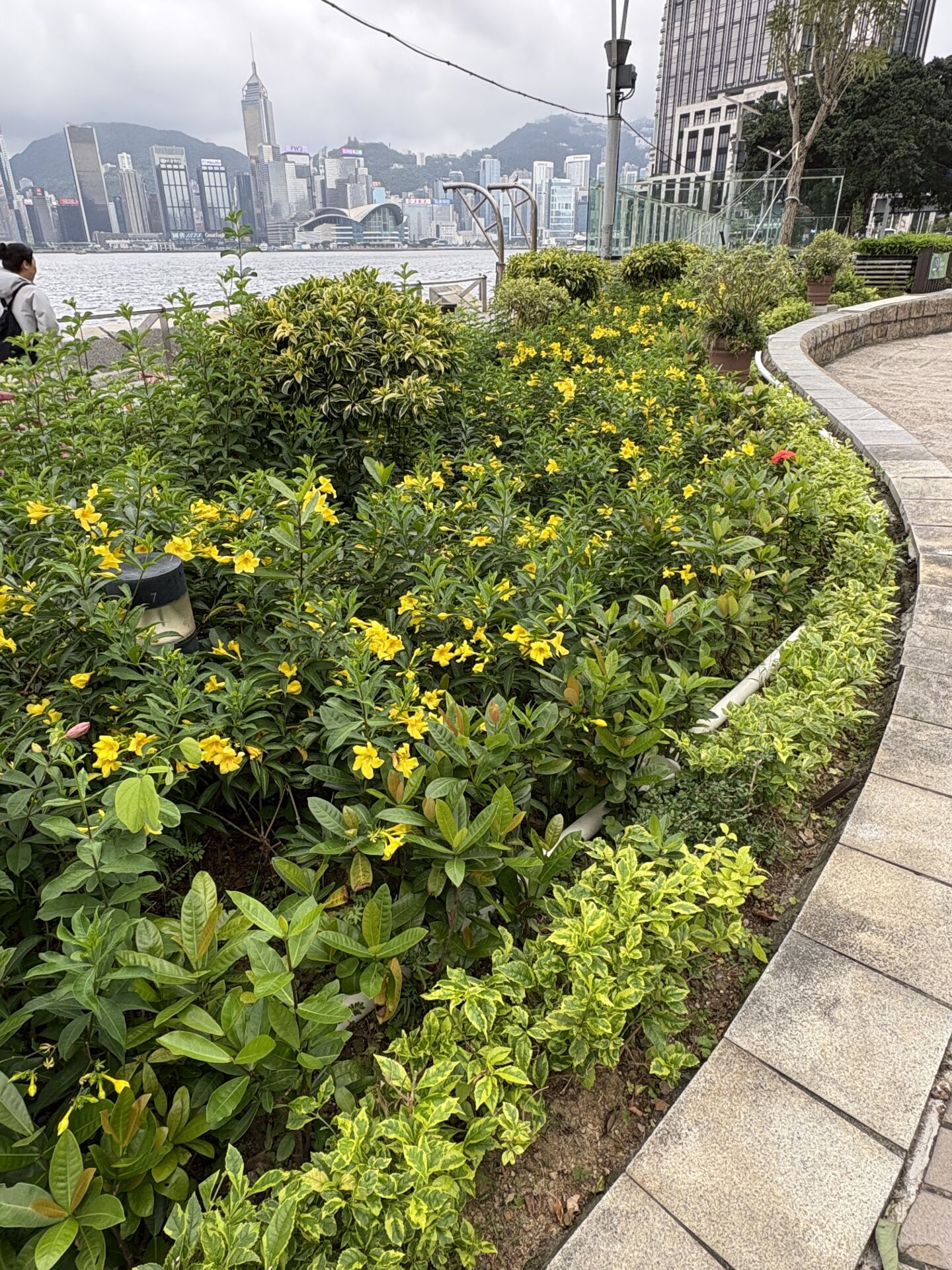 https://www.fa.gov.hk/