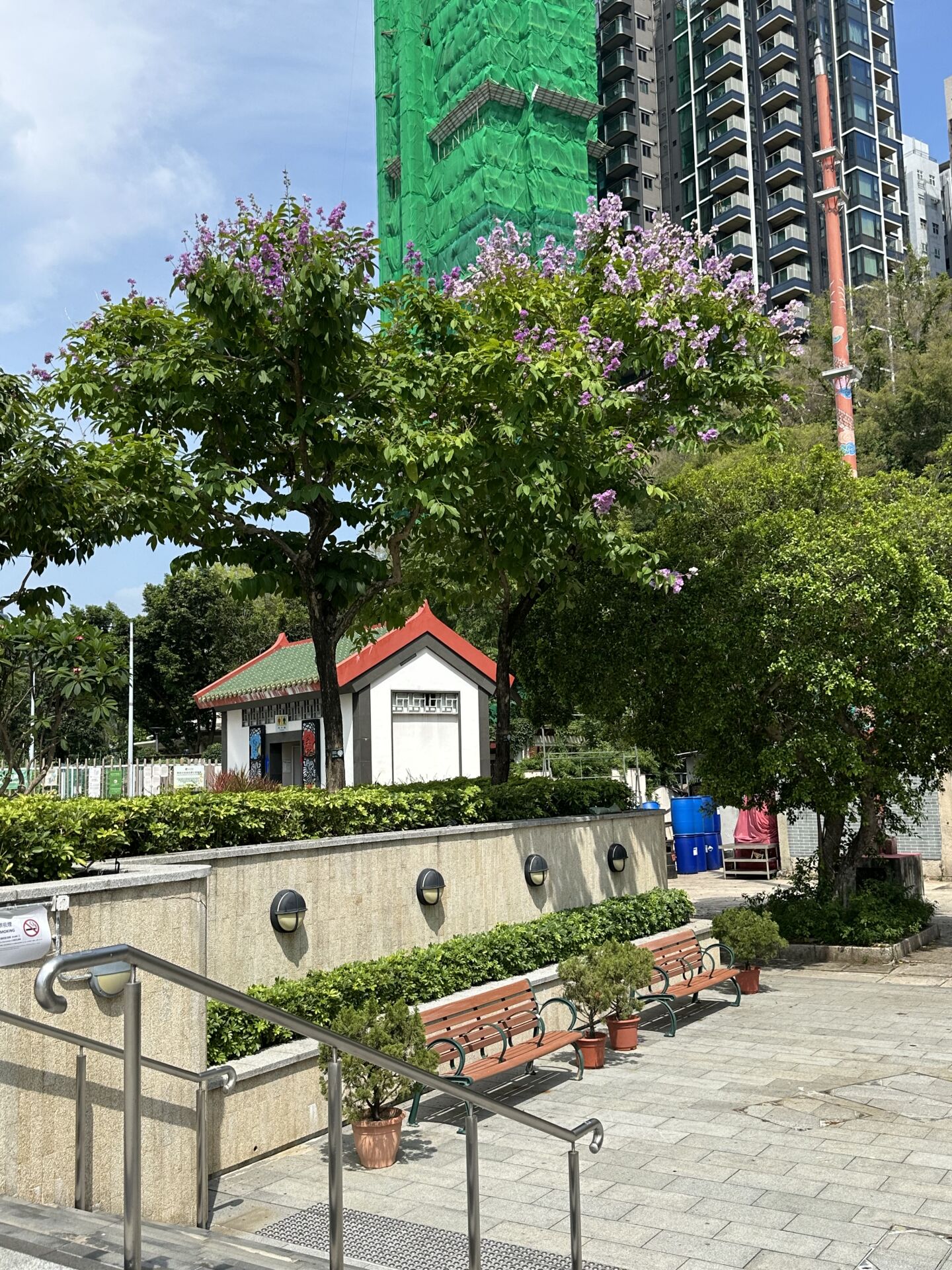https://www.fa.gov.hk/大花紫薇