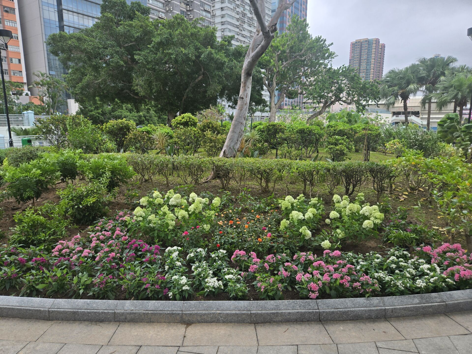 https://www.fa.gov.hk/
