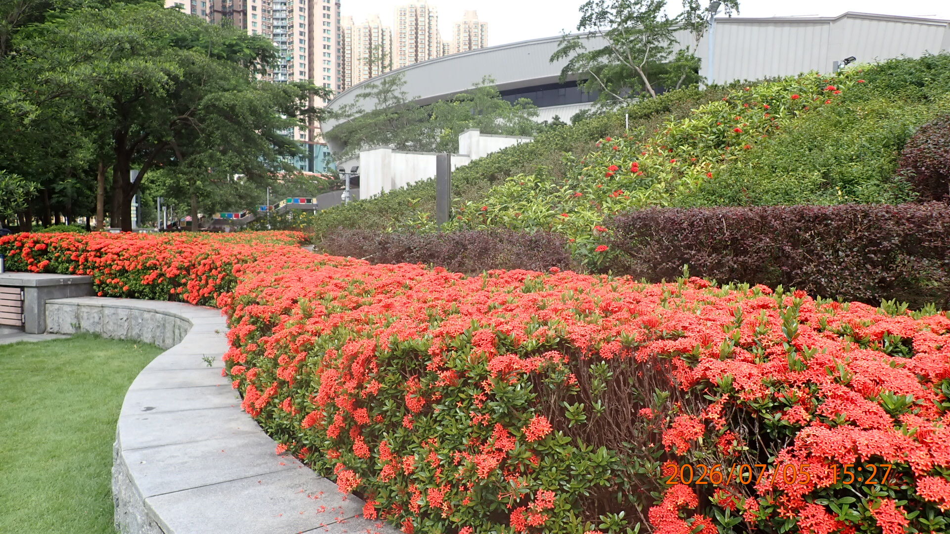 https://www.fa.gov.hk/細葉龍船花