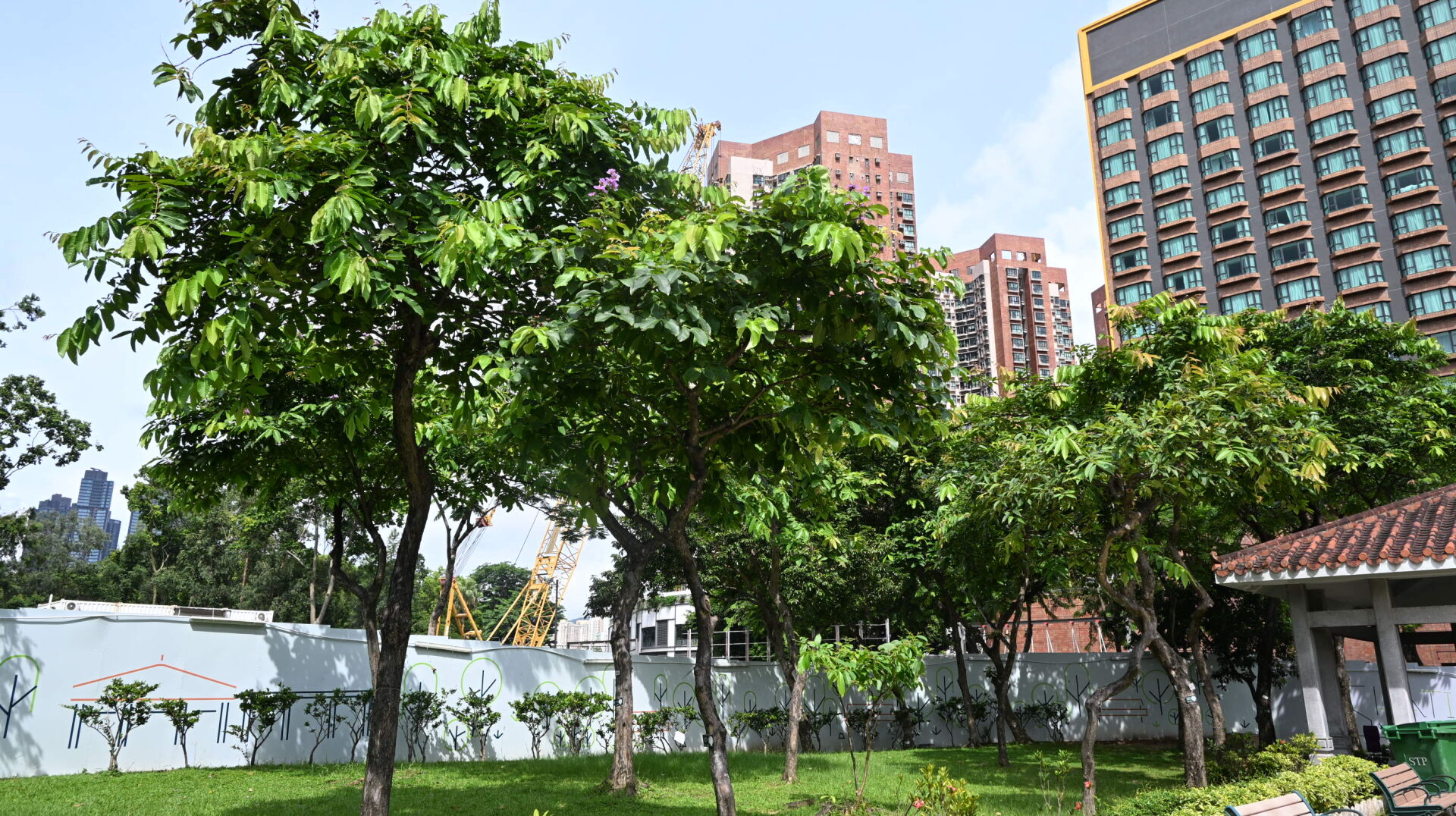 https://www.fa.gov.hk/大花紫薇