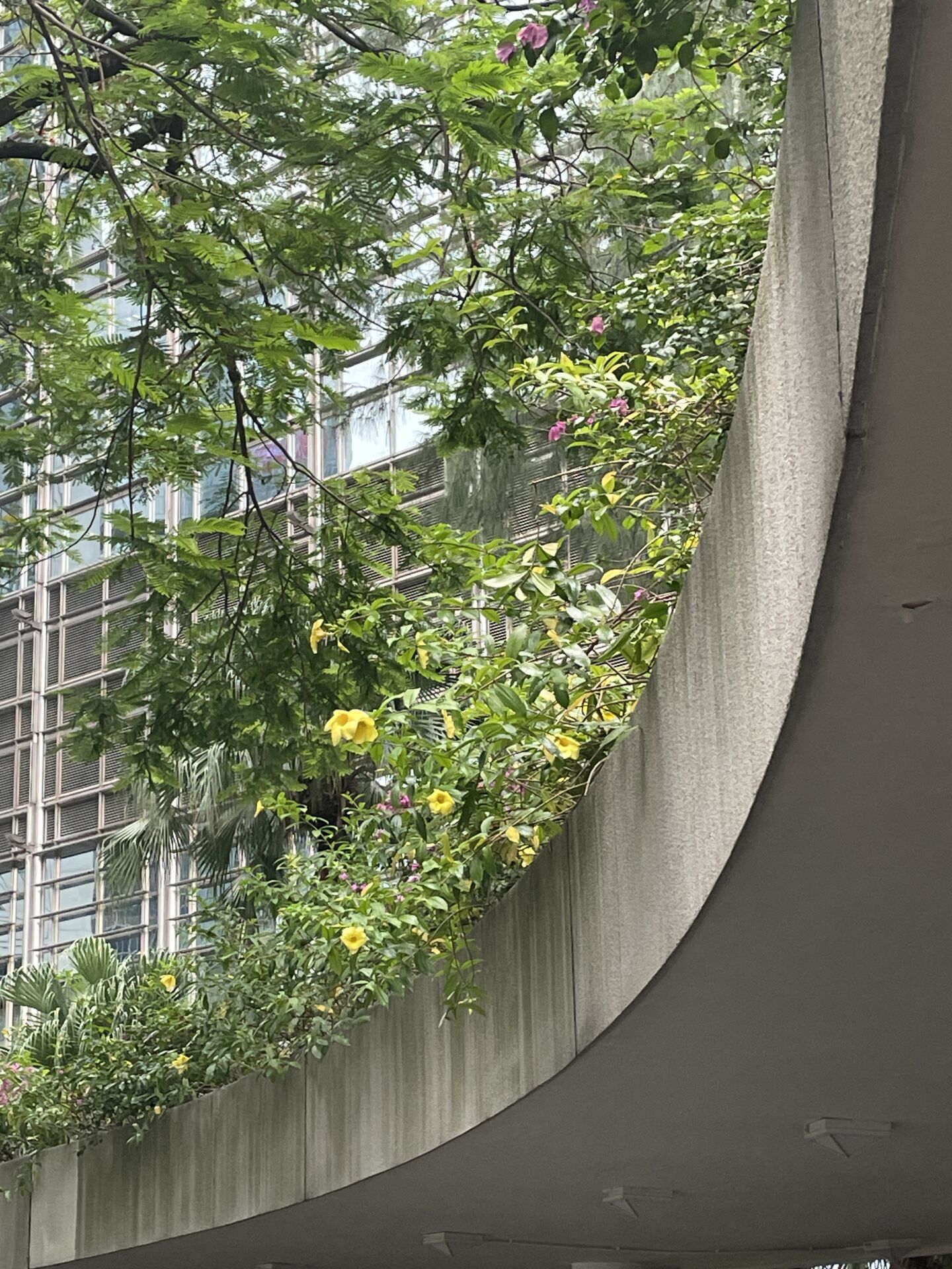 https://www.fa.gov.hk/黃蟬