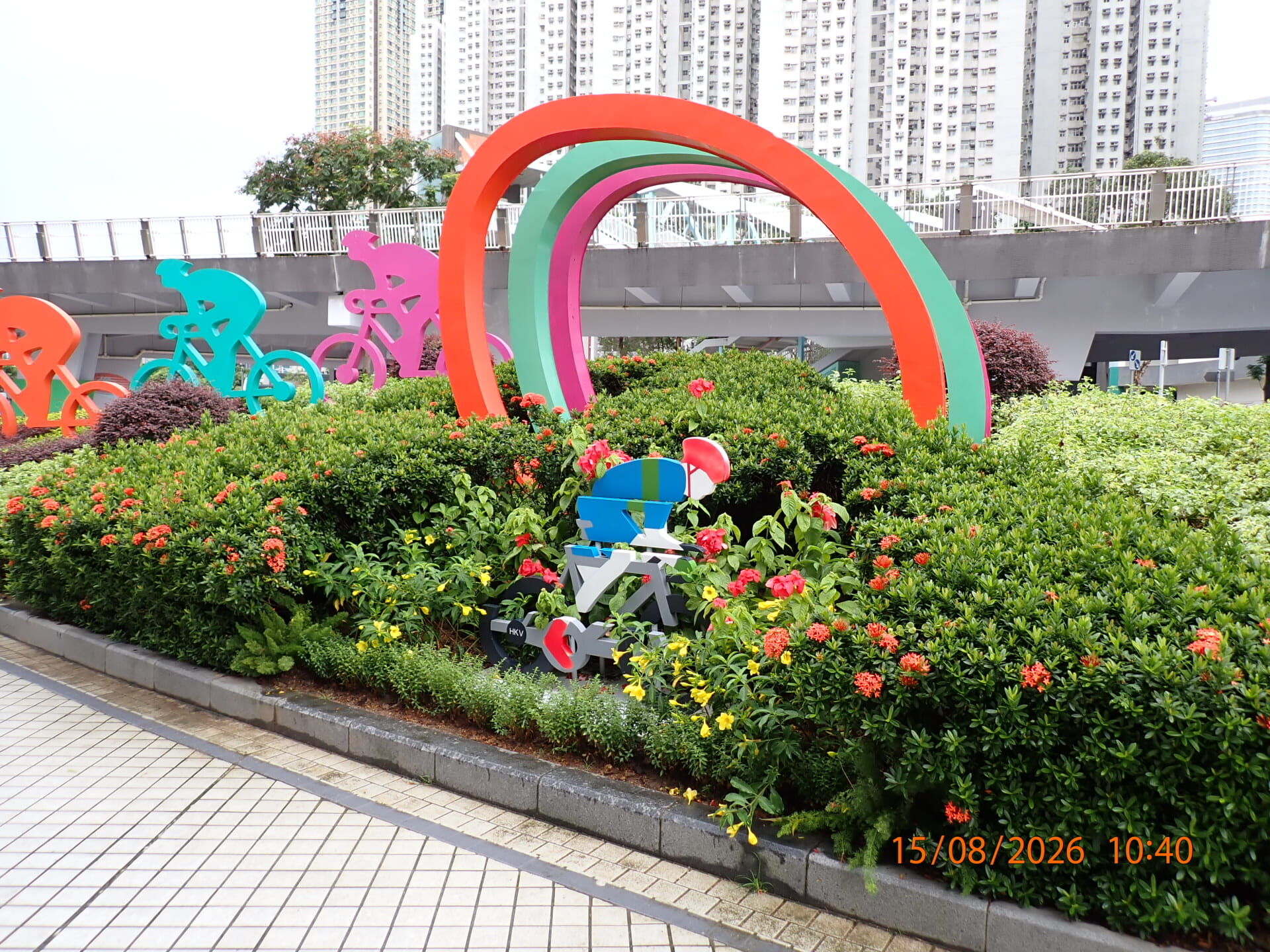 https://www.fa.gov.hk/紅葉金花 (紅紙扇)