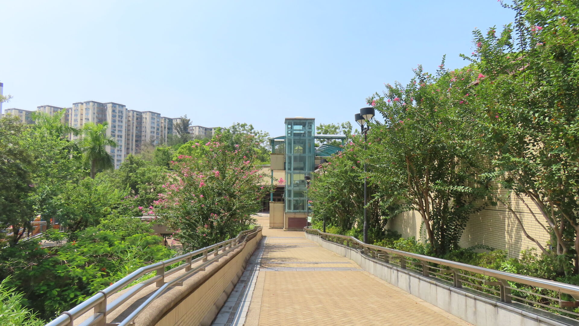https://www.fa.gov.hk/紫薇