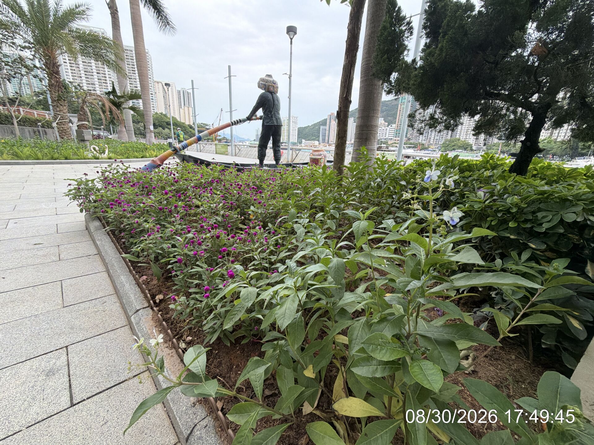 https://www.fa.gov.hk/