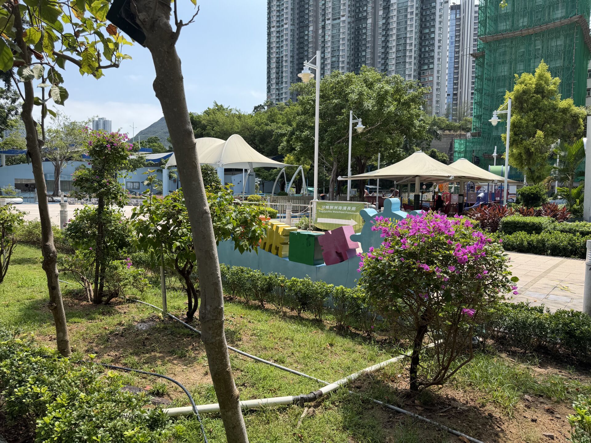 https://www.fa.gov.hk/葉子花 (簕杜鵑)
