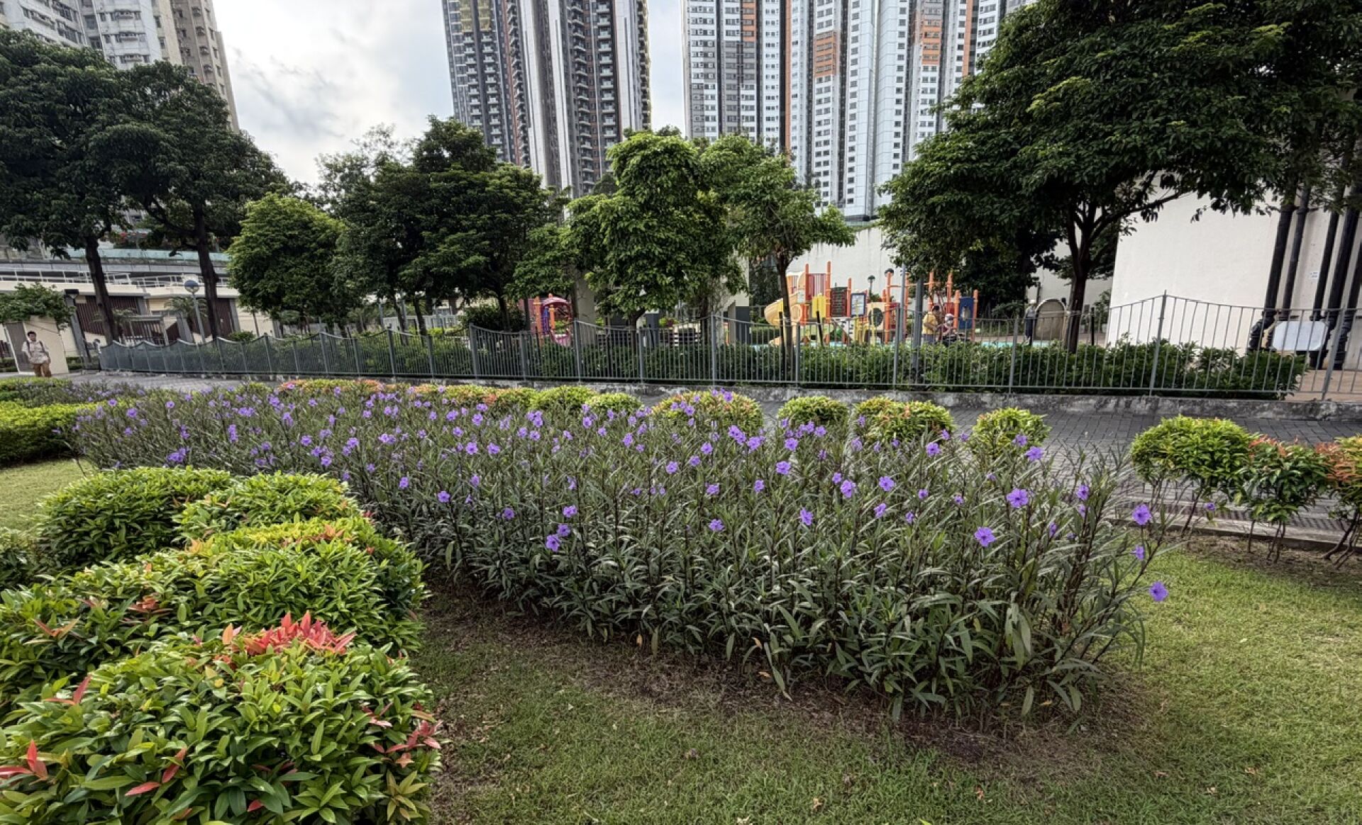 https://www.fa.gov.hk/翠蘆莉