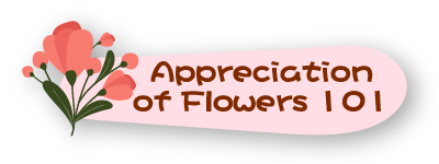 Appreciation of Flowers 101