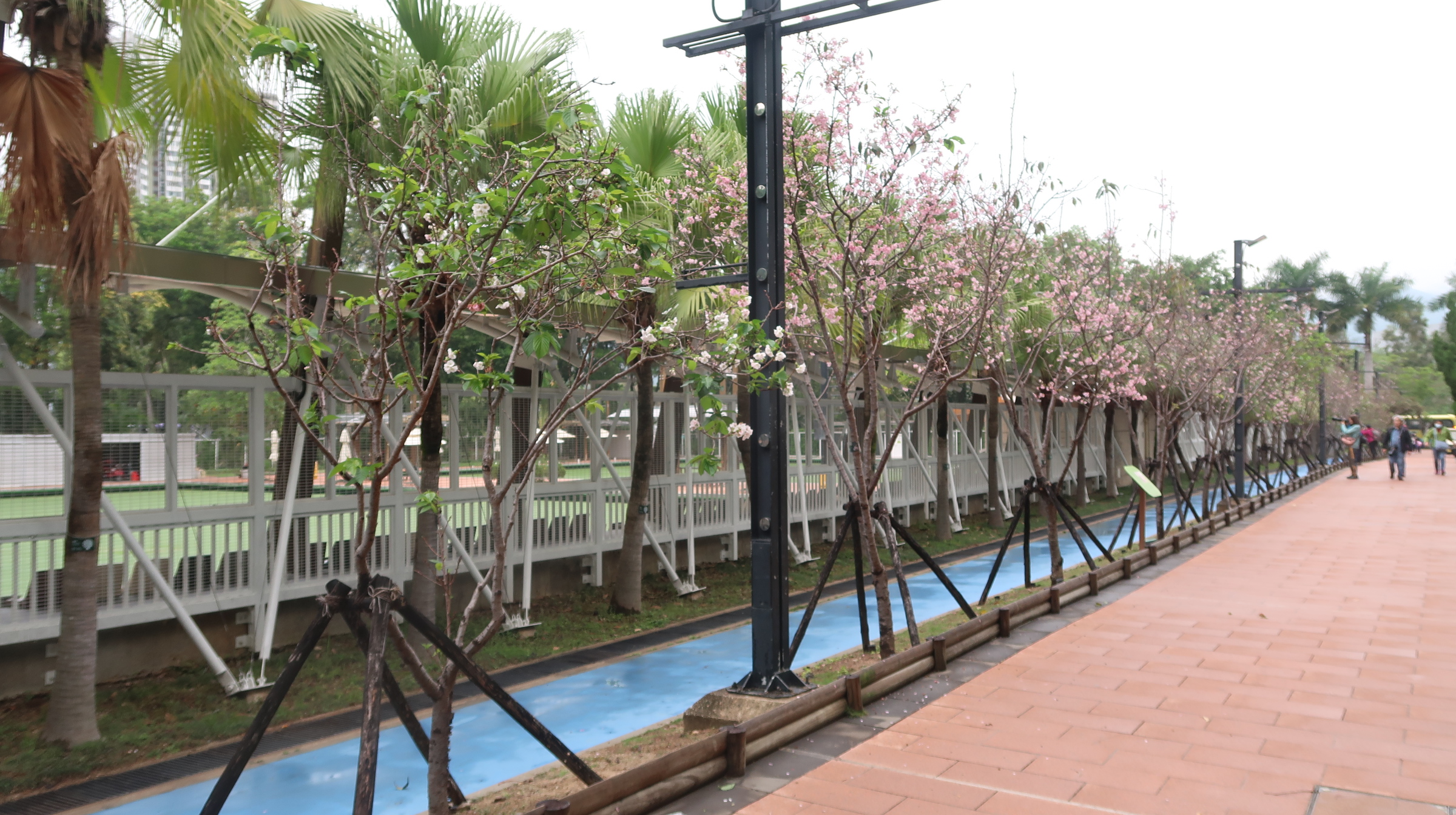 Near Bowling Greens (30.03.2023)
