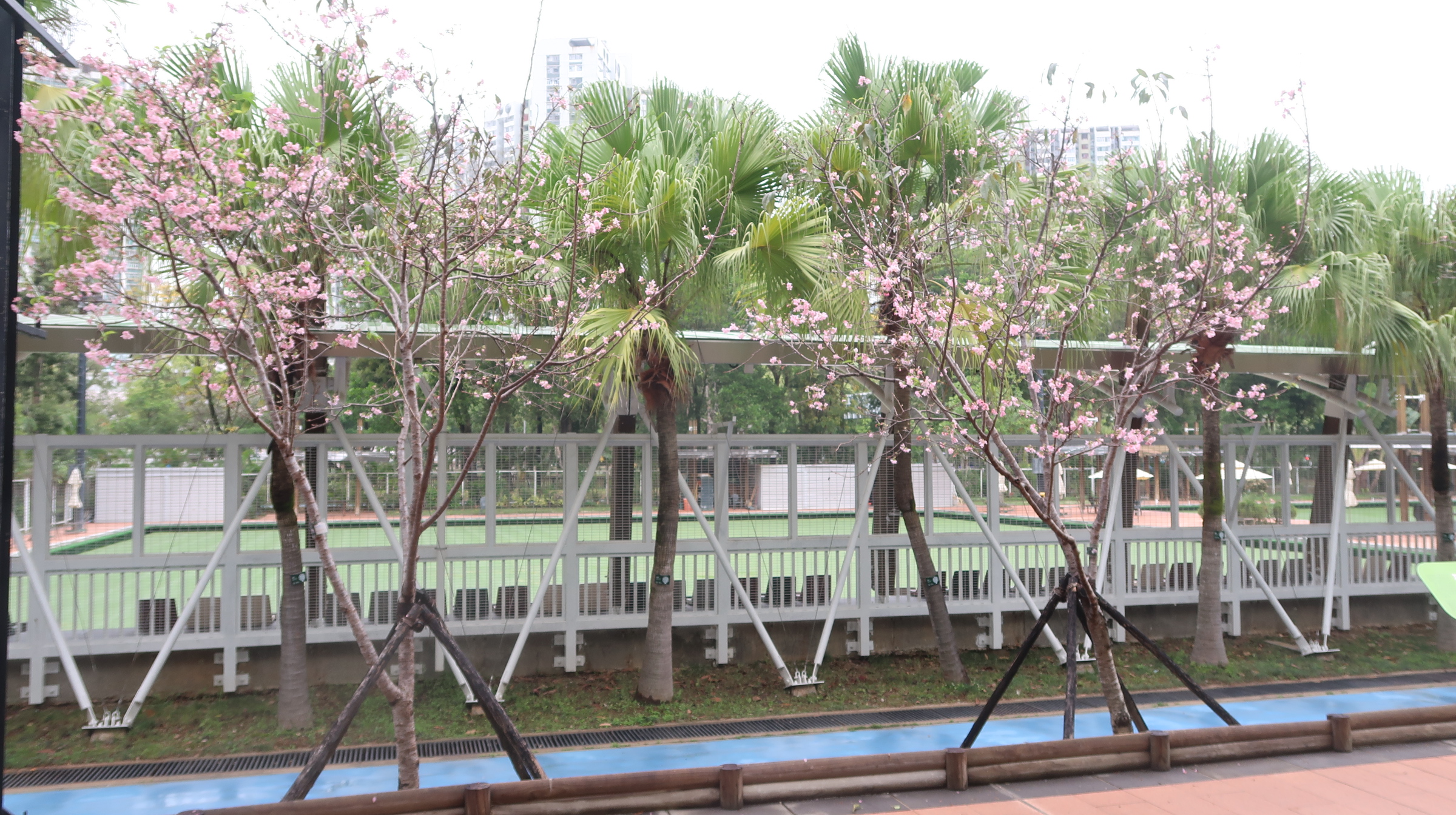 Near Bowling Greens (30.03.2023)