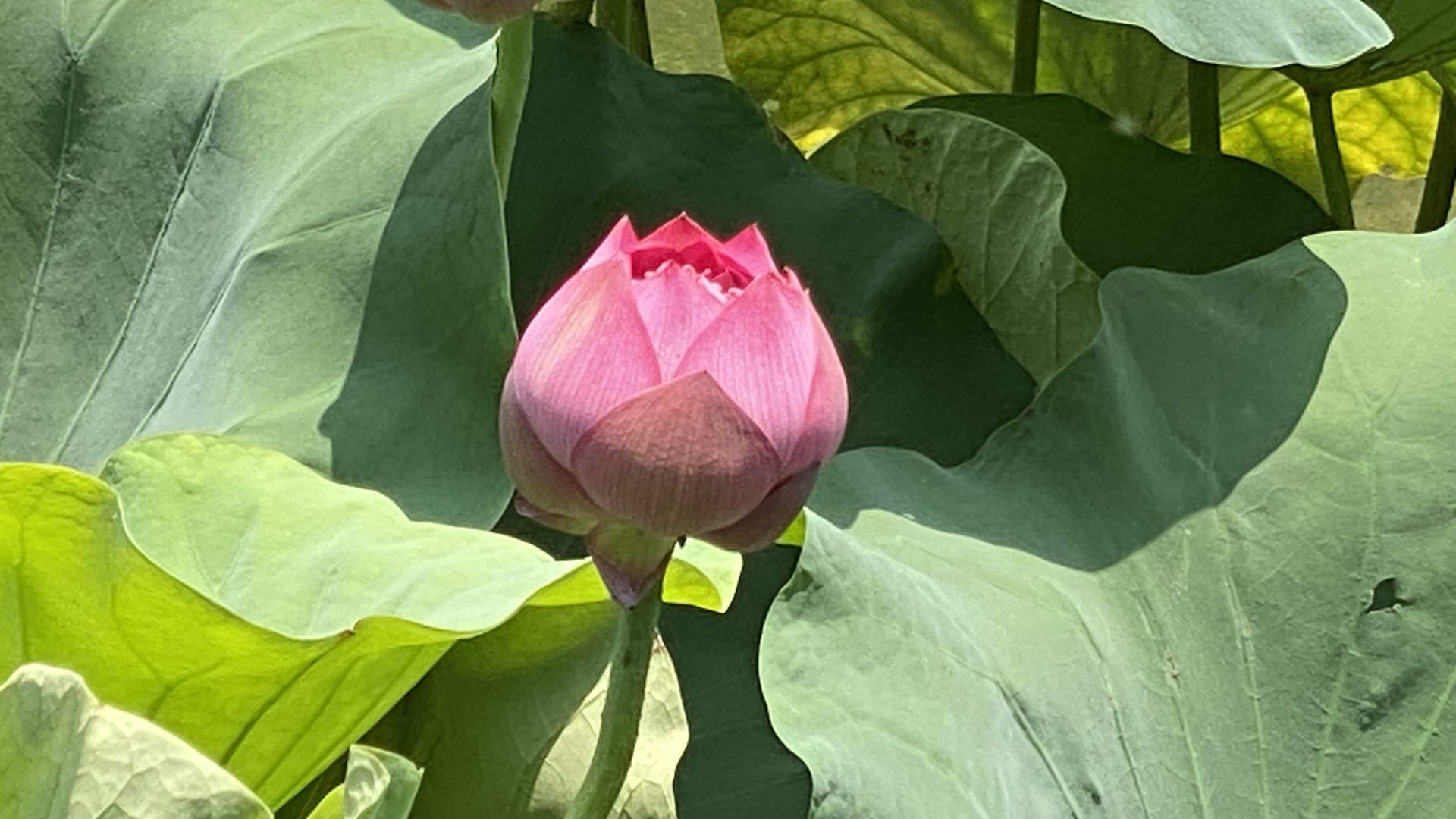 07.06.2023