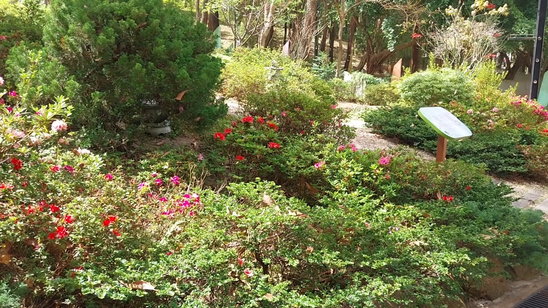 17.04.2025 (sparse flowers)