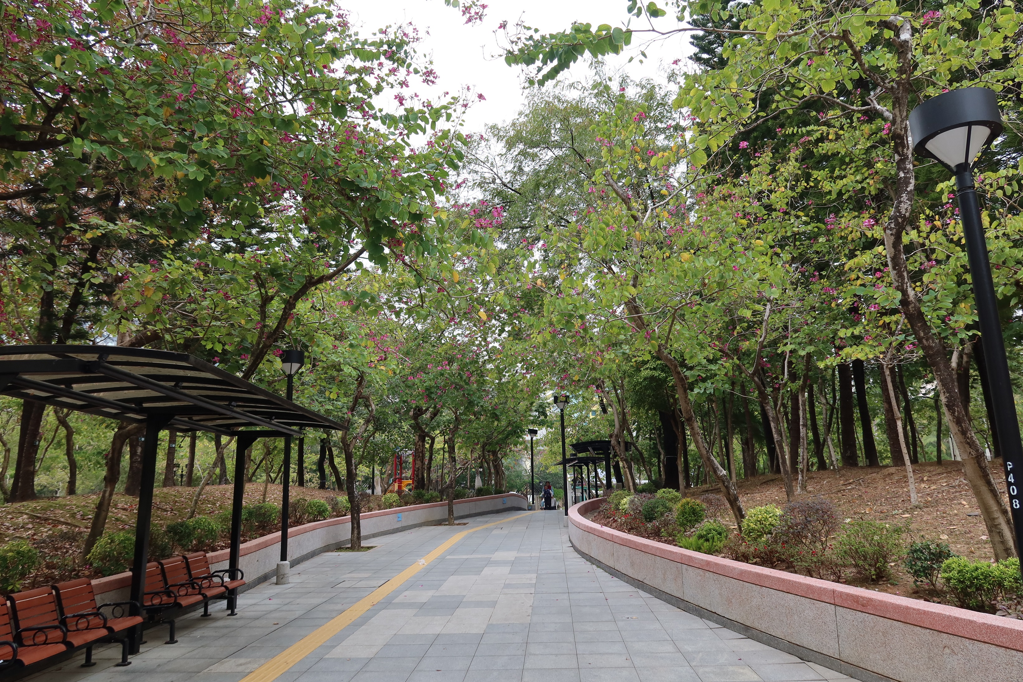 27.02.2025 (sparse flowers)