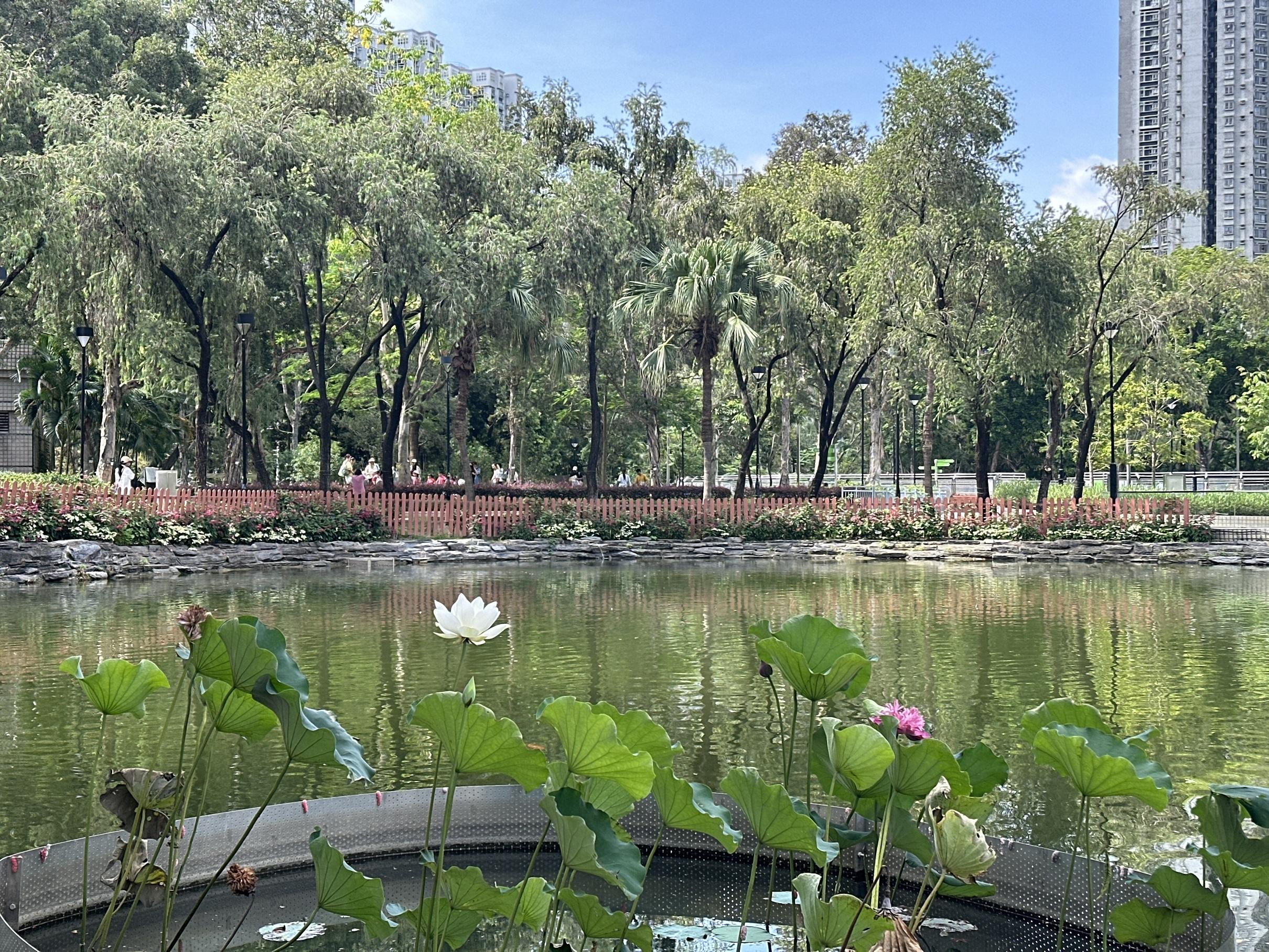 28.05.2026